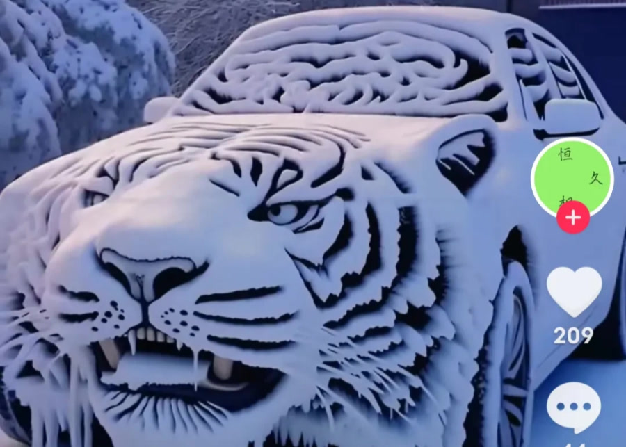 网友看中国竞彩网_足球比分-直播*首页：丨创意雪景！汽车变“老虎”